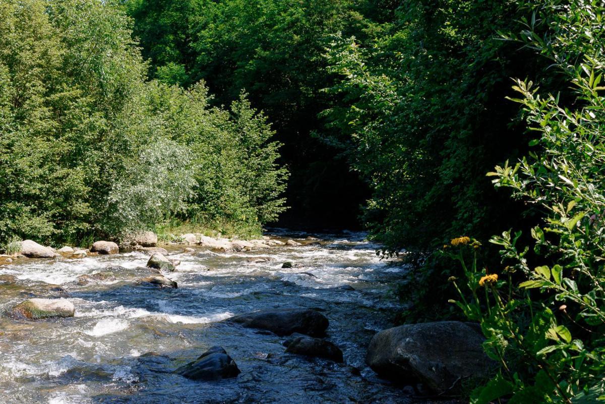 Susurul Apei Chalet Felsőporumbák Kültér fotó